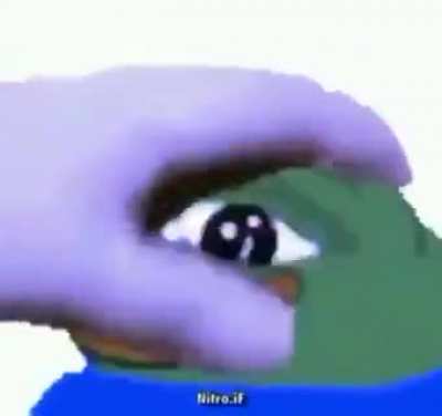 PETTHEPEEPO