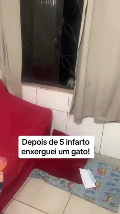 O susto que o cara deve ter tomado kkkkk