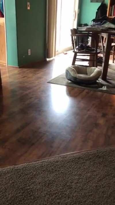 Pupper Ruby