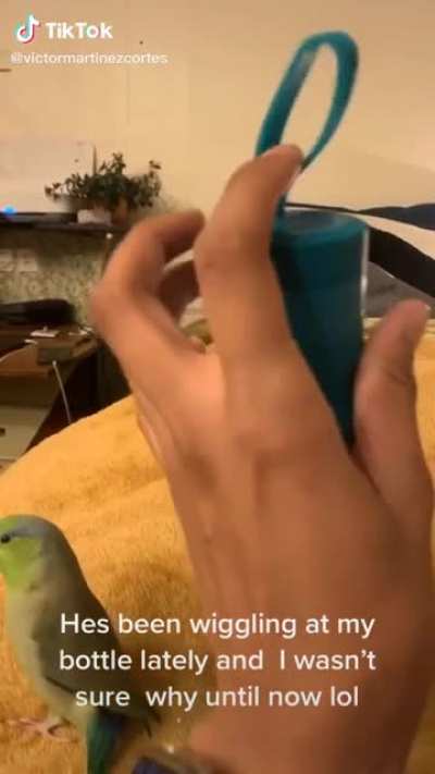 Spreading Birb Love: Day 12