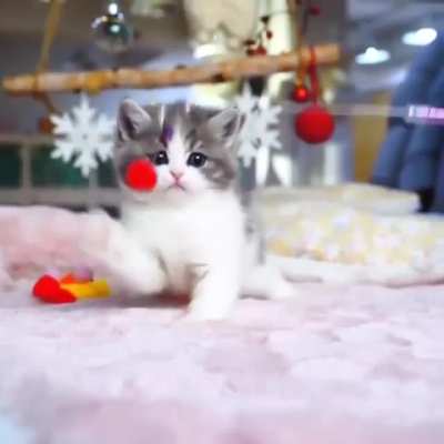 Smol