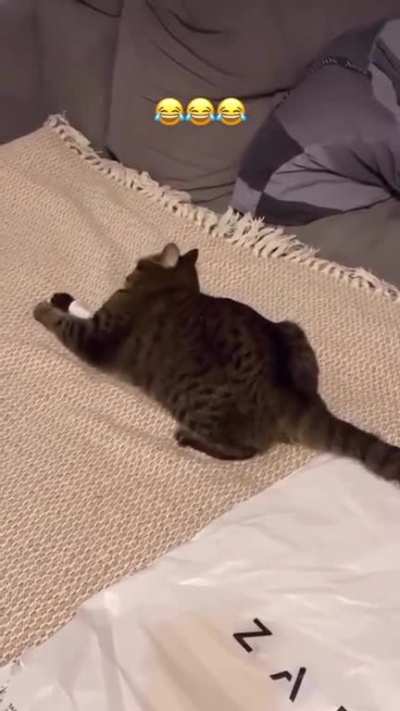 Why