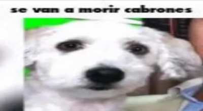 Mi jefe cuando ve que mi hermano y yo prendemos la luz trasera del carro