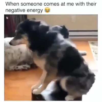 woof_irl
