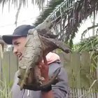 Ahhhhhh!!!