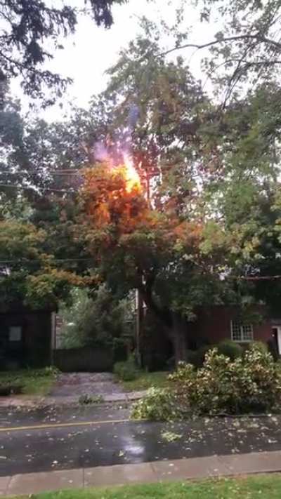 Private fireworks today!