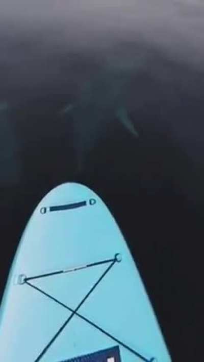 wait for it…