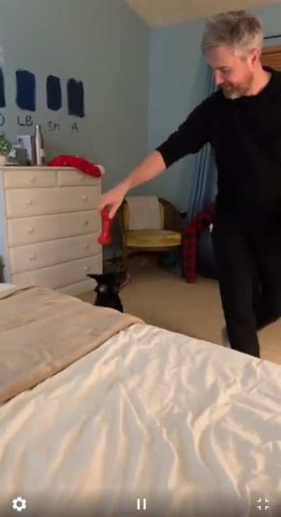 Caught the moment my husband accidentally whacked the dog in the face [OC]