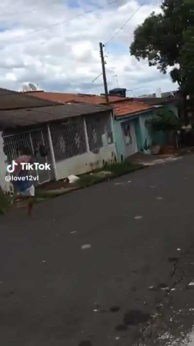 Fugiu 