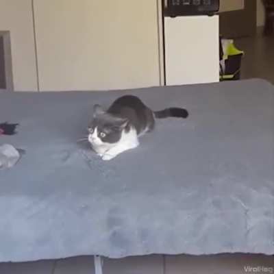 It’s all hitting at once