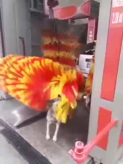 Auto Wash