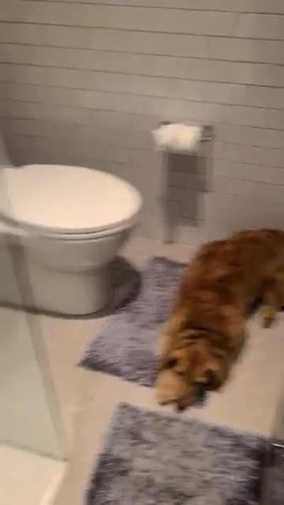 I just wanted to pee...