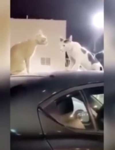 La neta que miedo