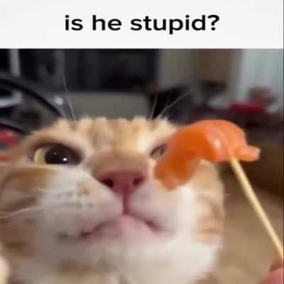 Dumb guy