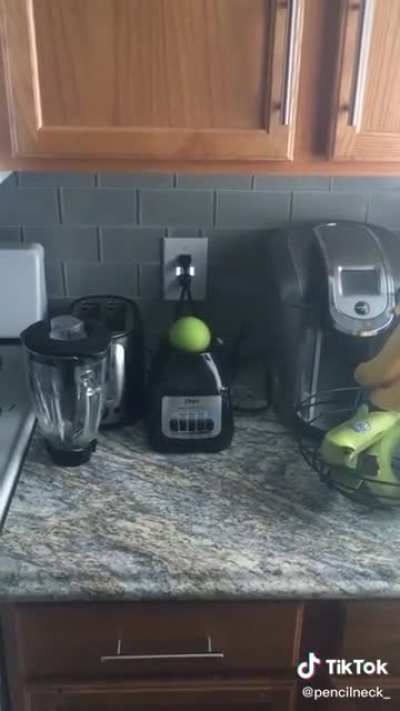 Apple + Blender