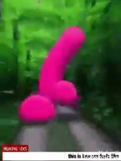 Hehe