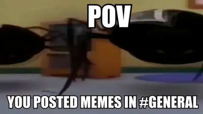 this post was made by the discord mod gang