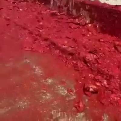 More ketchup? Yes, a truck load of ketchup on the side please. Location: Lebanon 3 daye ago