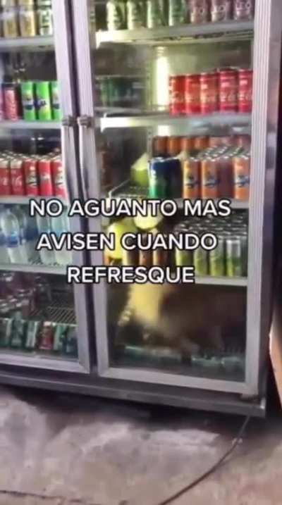 🥵