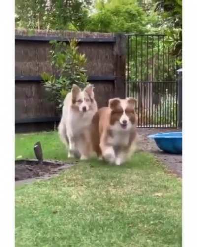 Blending in