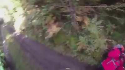 A chance encounter