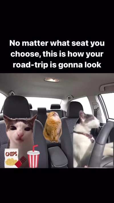 Yendo de viaje