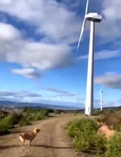 I am one with the Wind Turbine
