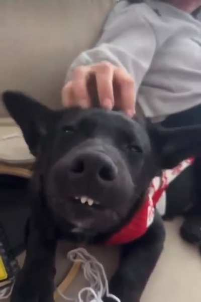 Thats the spot
