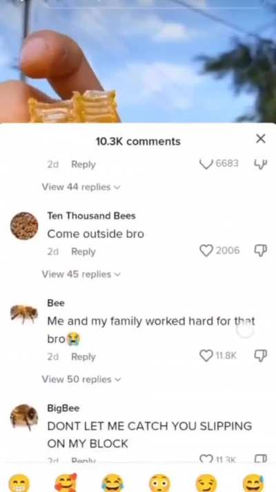 🐝🐝🐝