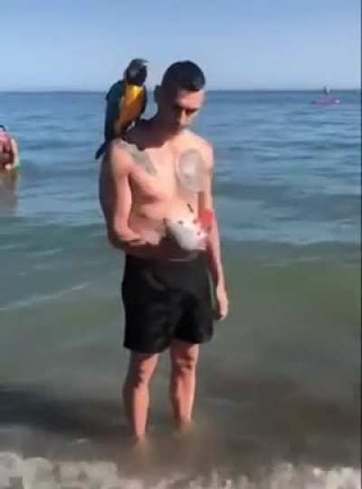 man juggles bird before shooting it