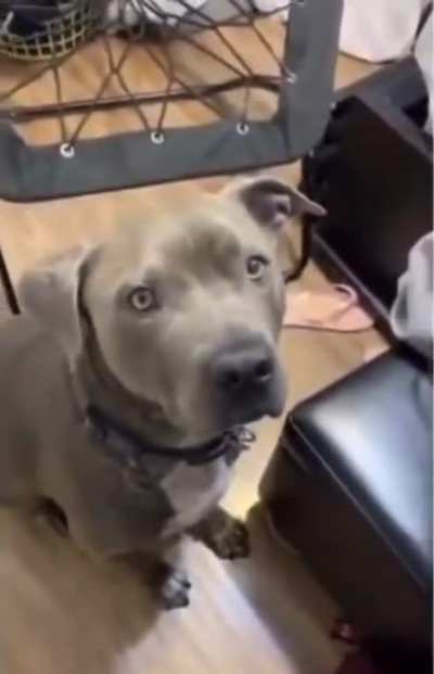 Just a small bite