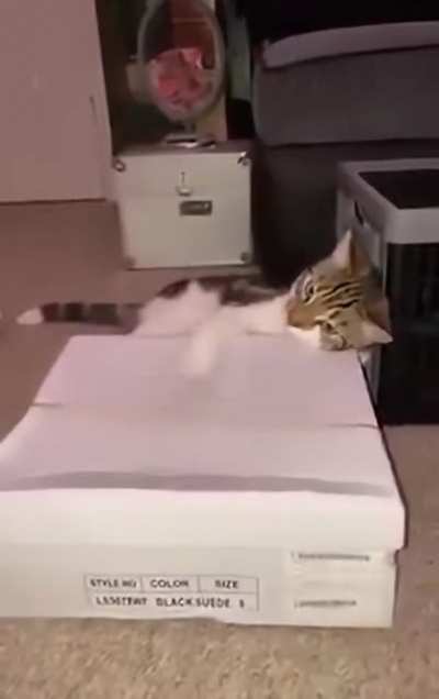 Настоящий талант