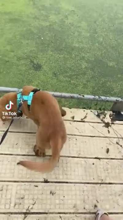 head first