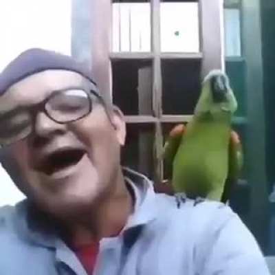 Hahaha, aaaa
