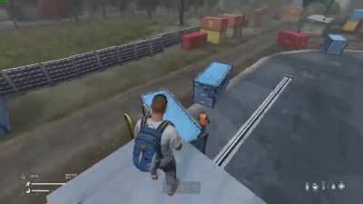 So I played DayZ...