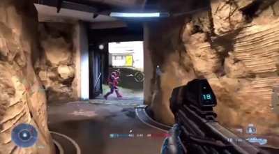 The halo community is a goldmine.