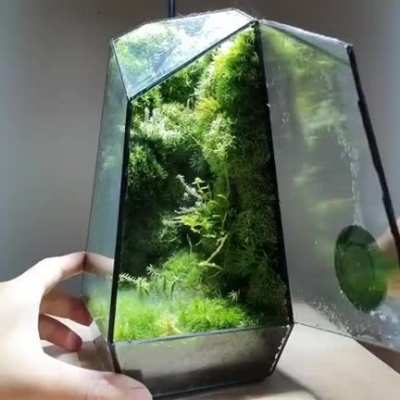 This mini ecosystem is just plain Fucking cool.