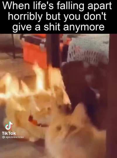 me_irl