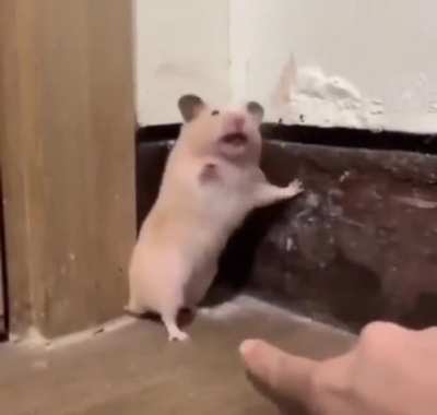 His Soul Came Out Of His Body