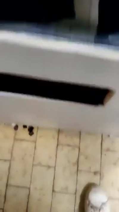 Mit einer SSD wäre das nicht passiert