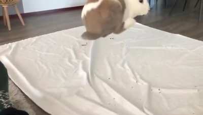 Sometimes you just suddenly want to jump.