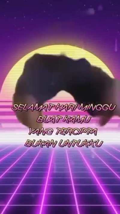 Happy Sunday gays