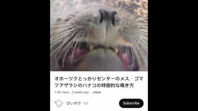 Hanako’s Greatest Hits (Source: @tokk<wbr>arice<wbr>nter_<wbr>offic<wbr>ial)