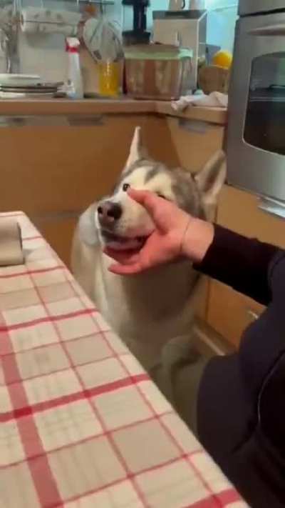 Da dog be speakin’