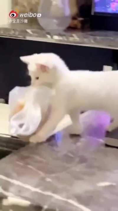 to steal some food