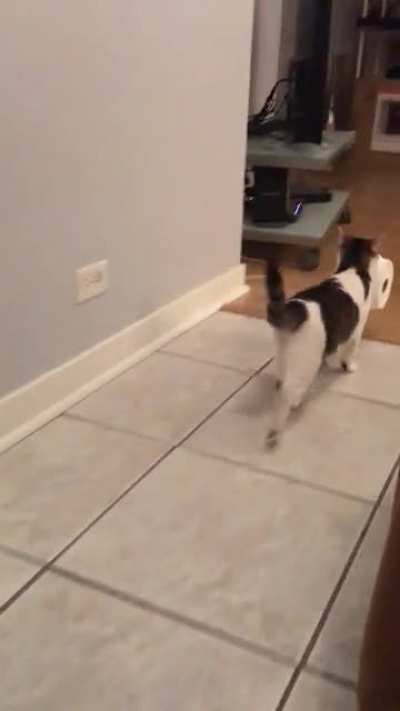 He looks like Trouble! Bringing Chester home in a few days. Foster parents sent this video.