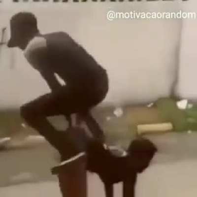 Reflexão