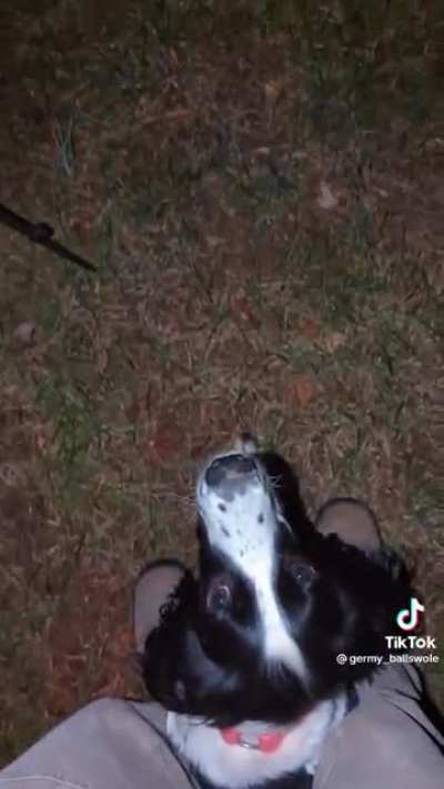 Fetch?