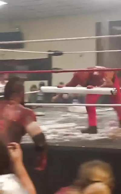 NSFW fight