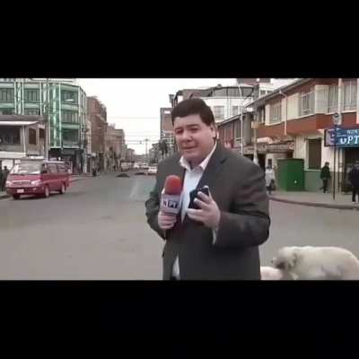 Culiao Culiao